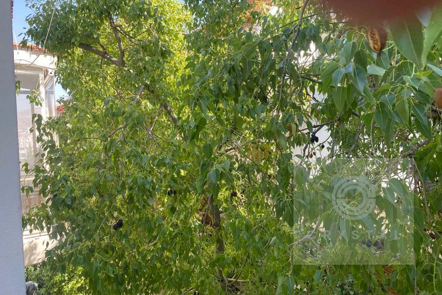 Διαμέρισμα προς Ενοικίαση - Γλυφάδα, Αθήνα - Νότια Προάστια