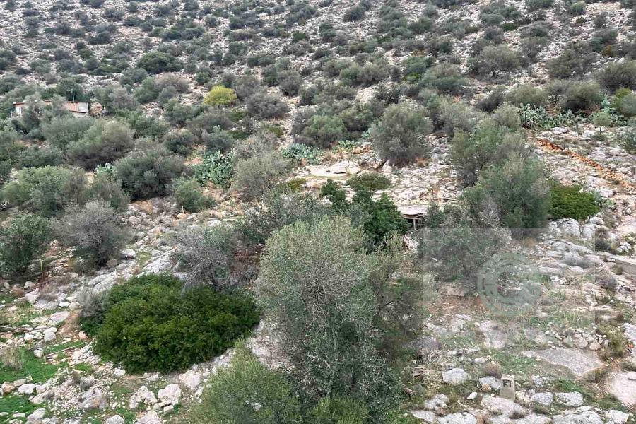 Γλυφάδα - Τερψιθέα, Κτίριο, Πώληση, 298 τ.μ