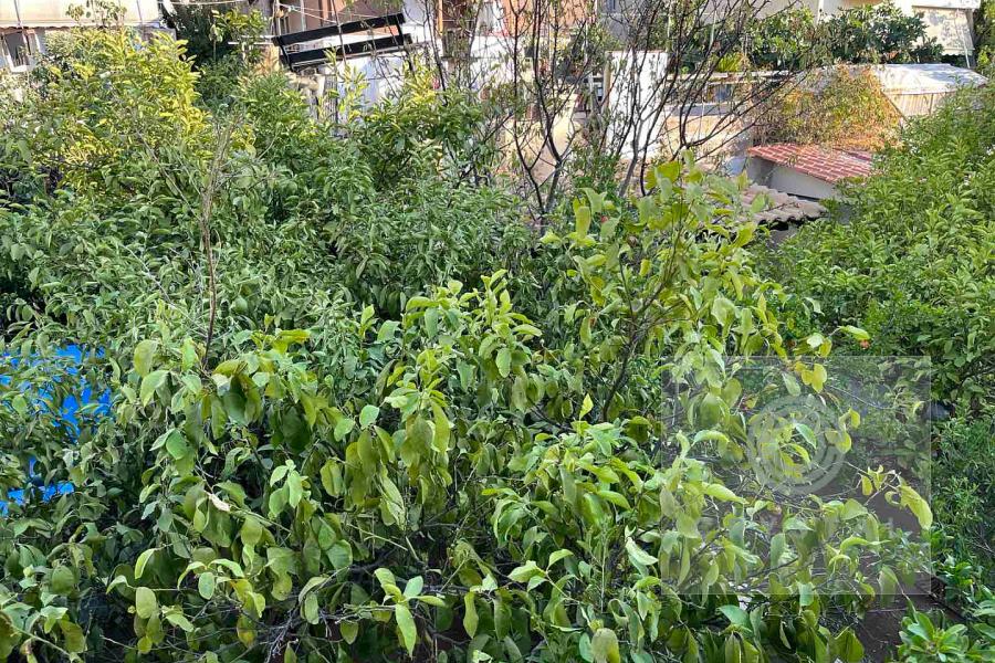 Apartment Sale - Glyfada, South Athens